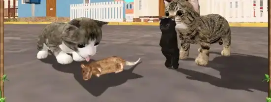 🐱 Cat Simulator 2018: Kitten Cat VS Rat Game SellUnitySourceCode screenshot 2