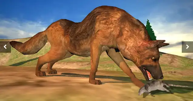  New Angry Dog Attack Competition: Dog Games – SellUnitySourceCode.com screenshot 2