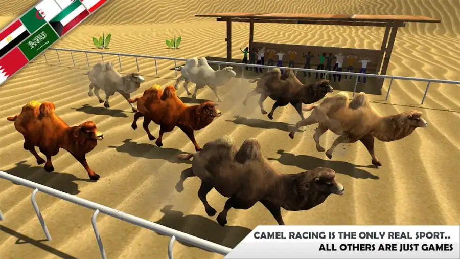 Wild Camel Racing Simulator SellUnitySourceCode screenshot 2